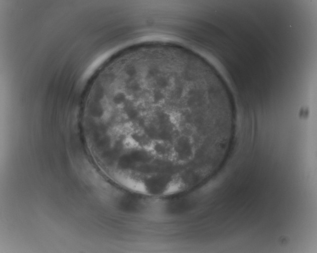 X0000114660783200910201529