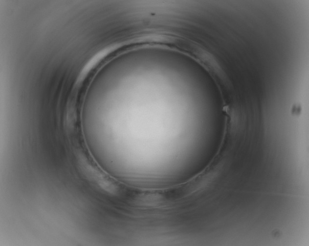 X0000114660784200910201529