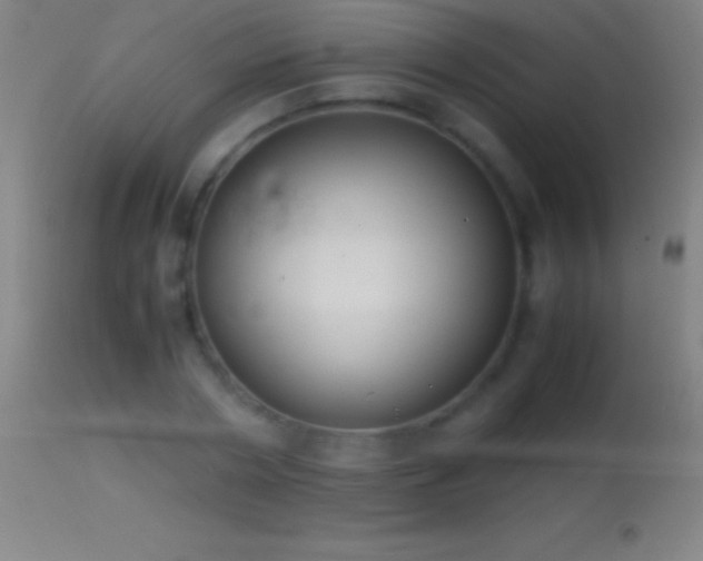 X0000114660786200910201529