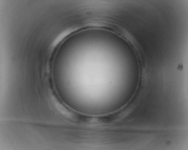 X0000114660787200910201529