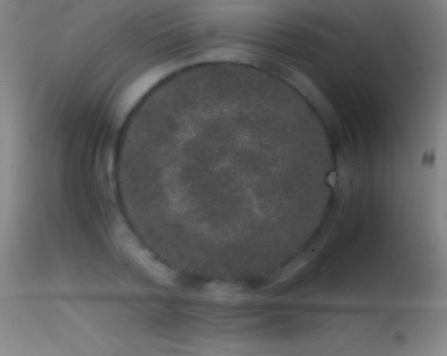 X0000114660788200910201529