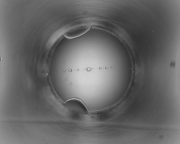 X0000114660789200910201529