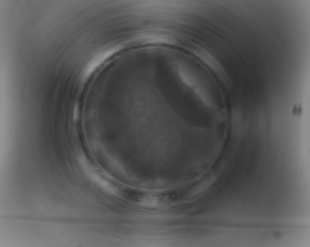 X0000114660790200910201529