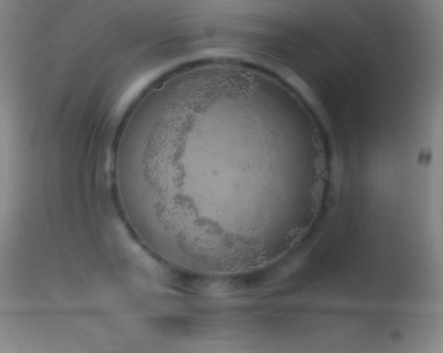 X0000114660791200910201529