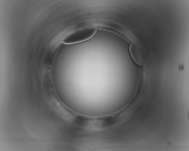 X0000114660793200910201529