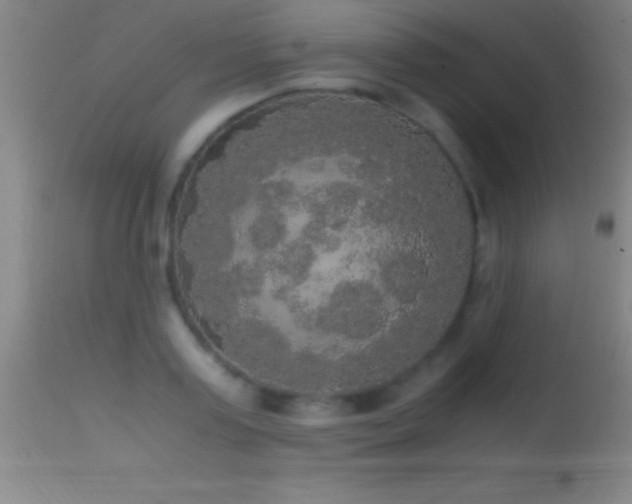 X0000114660795200910201529