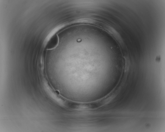 X0000114660796200910201529