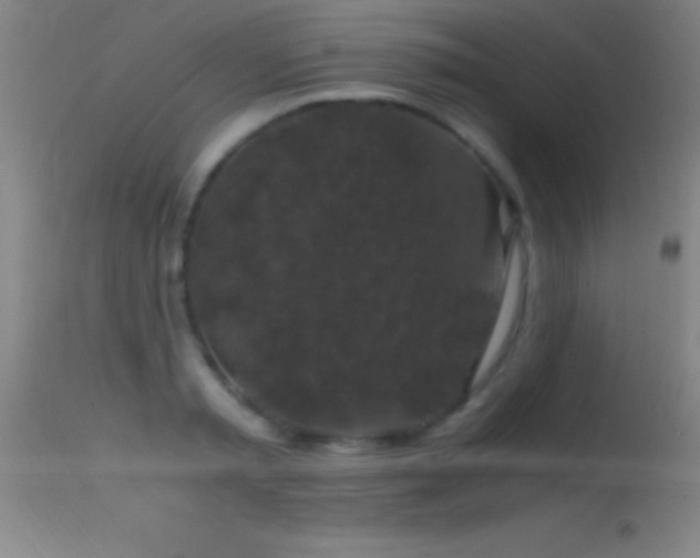 X0000114660797200910201529