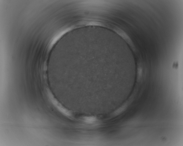 X0000114660798200910201529