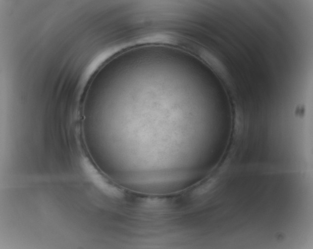 X0000114660800200910201529