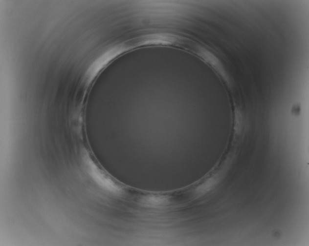 X0000114660802200910201529