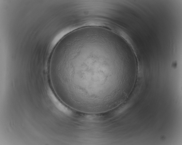 X0000114660803200910201529