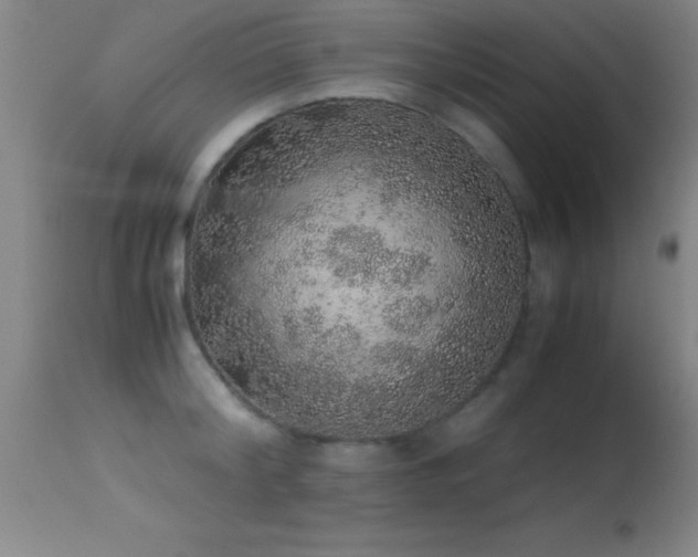 X0000114660804200910201529