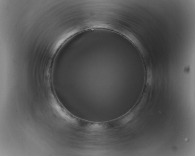 X0000114660806200910201529