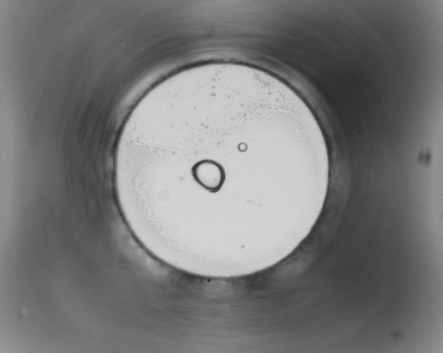 X0000114660807200910201529