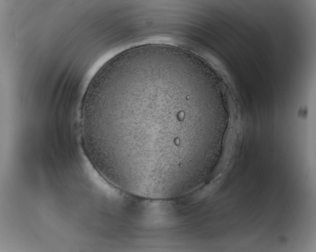 X0000114660808200910201529