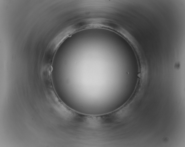 X0000114660809200910201529