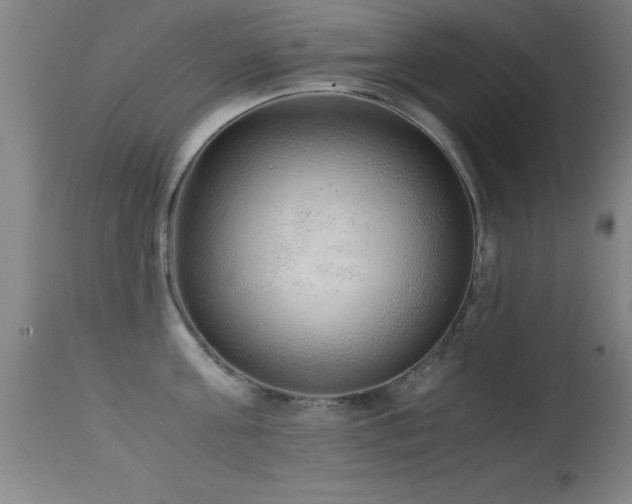 X0000114660811200910201529