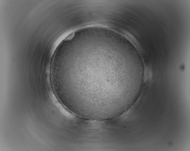 X0000114660812200910201529