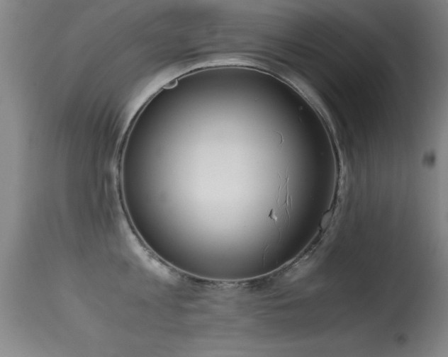 X0000114660813200910201529