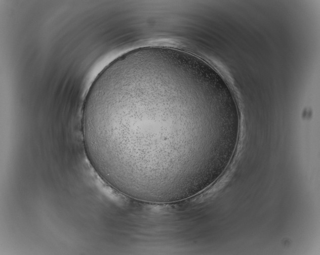 X0000114660816200910201529