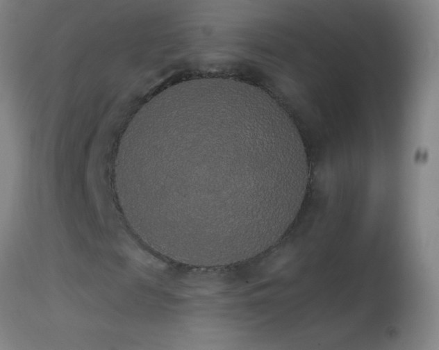 X0000114660817200910201528