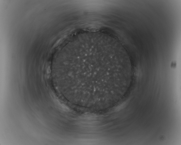 X0000114660818200910201528