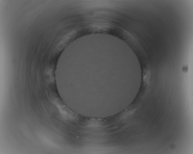 X0000114660819200910201528