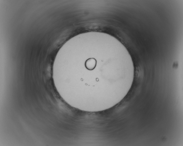 X0000114660820200910201528