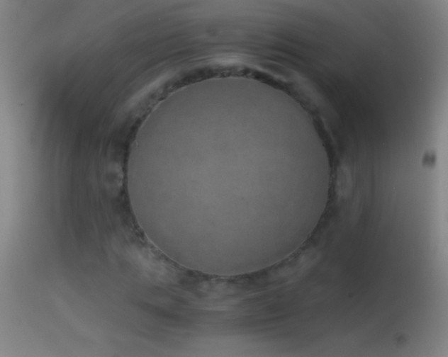 X0000114660821200910201528