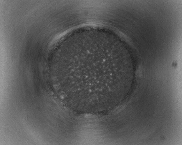 X0000114660822200910201528