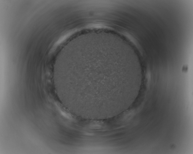 X0000114660823200910201528