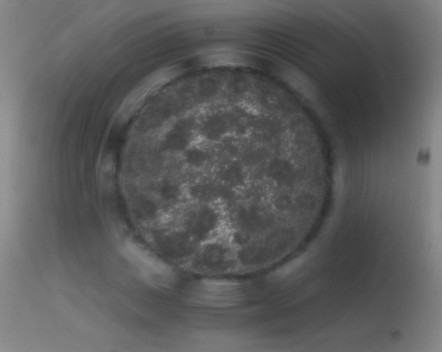 X0000114660825200910201528