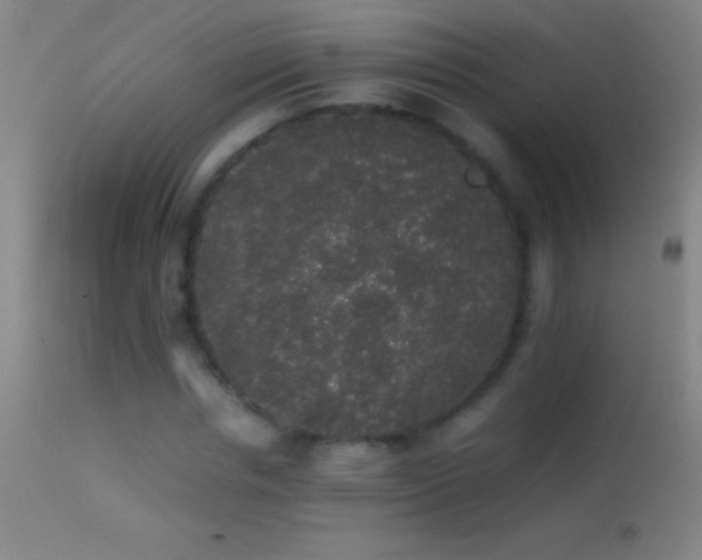 X0000114660826200910201528