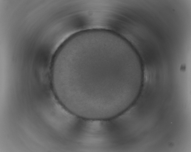 X0000114660828200910201529