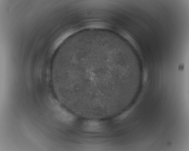 X0000114660829200910201529