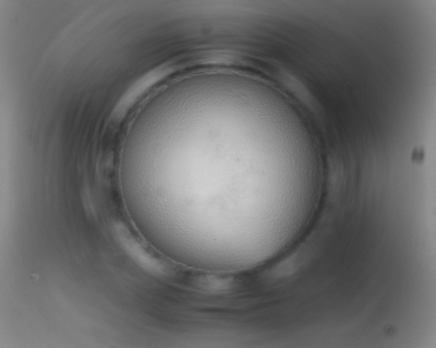 X0000114660831200910201529