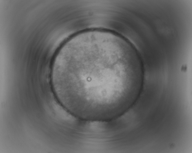 X0000114660832200910201529