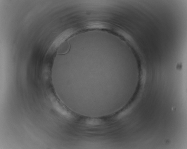 X0000114660833200910201529