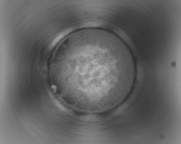 X0000114660834200910201529