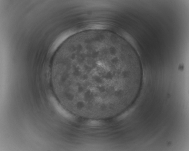 X0000114660835200910201529