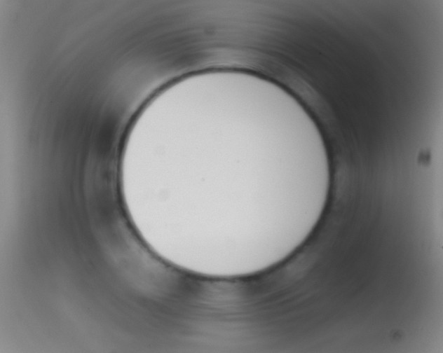 X0000114660836200910201529