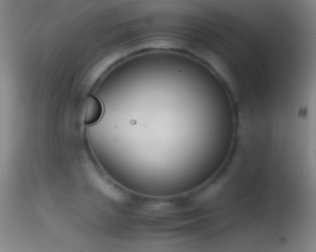 X0000114660837200910201529