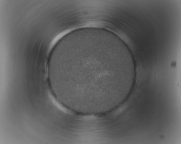 X0000114660838200910201529