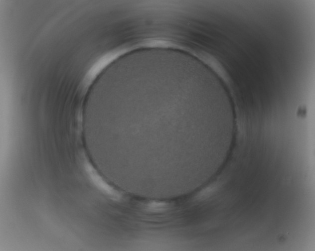 X0000114660839200910201529