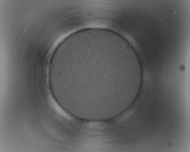 X0000114660840200910201529