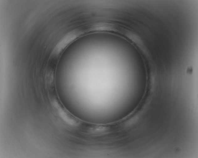 X0000114660841200910201529