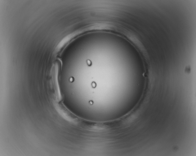 X0000114660842200910201529