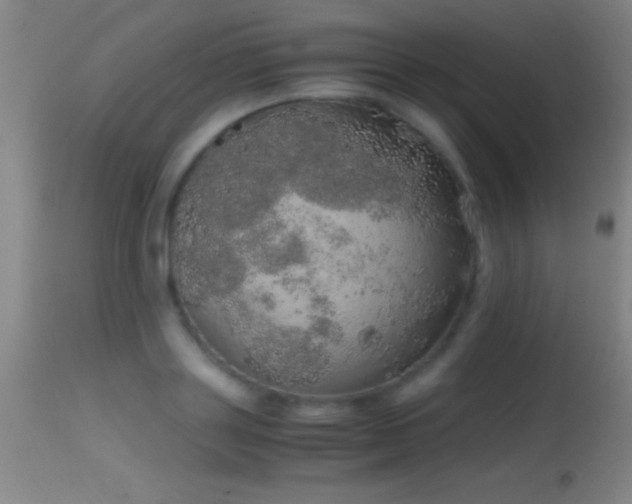 X0000114660843200910201529