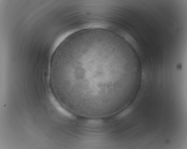 X0000114660844200910201529